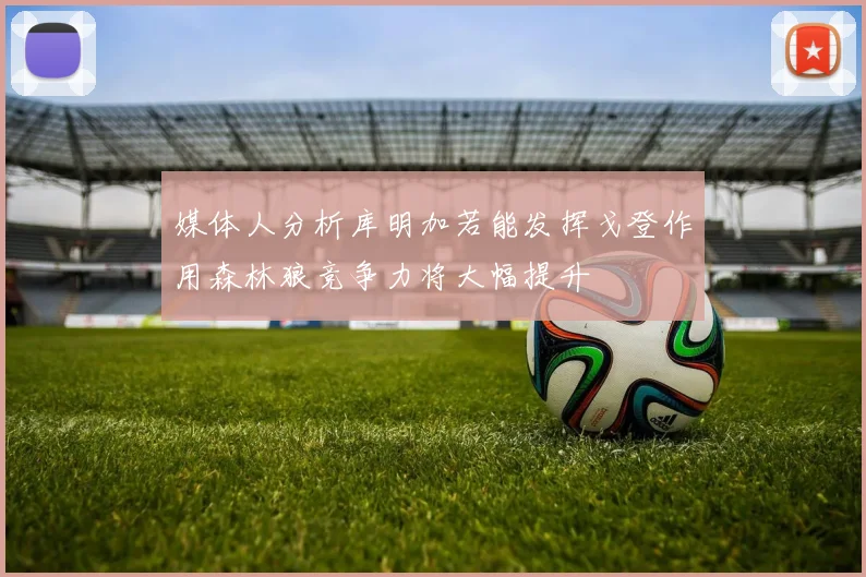 媒体人分析库明加若能发挥戈登作用森林狼竞争力将大幅提升