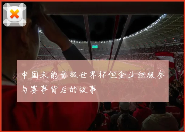 中国未能晋级世界杯但企业积极参与赛事背后的故事