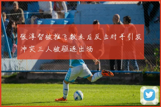 张淳智被推飞数米后反击对手引发冲突三人被驱逐出场