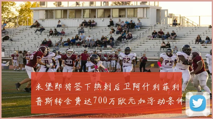 米堡即将签下热刺后卫阿什利菲利普斯转会费达700万欧元加浮动条件